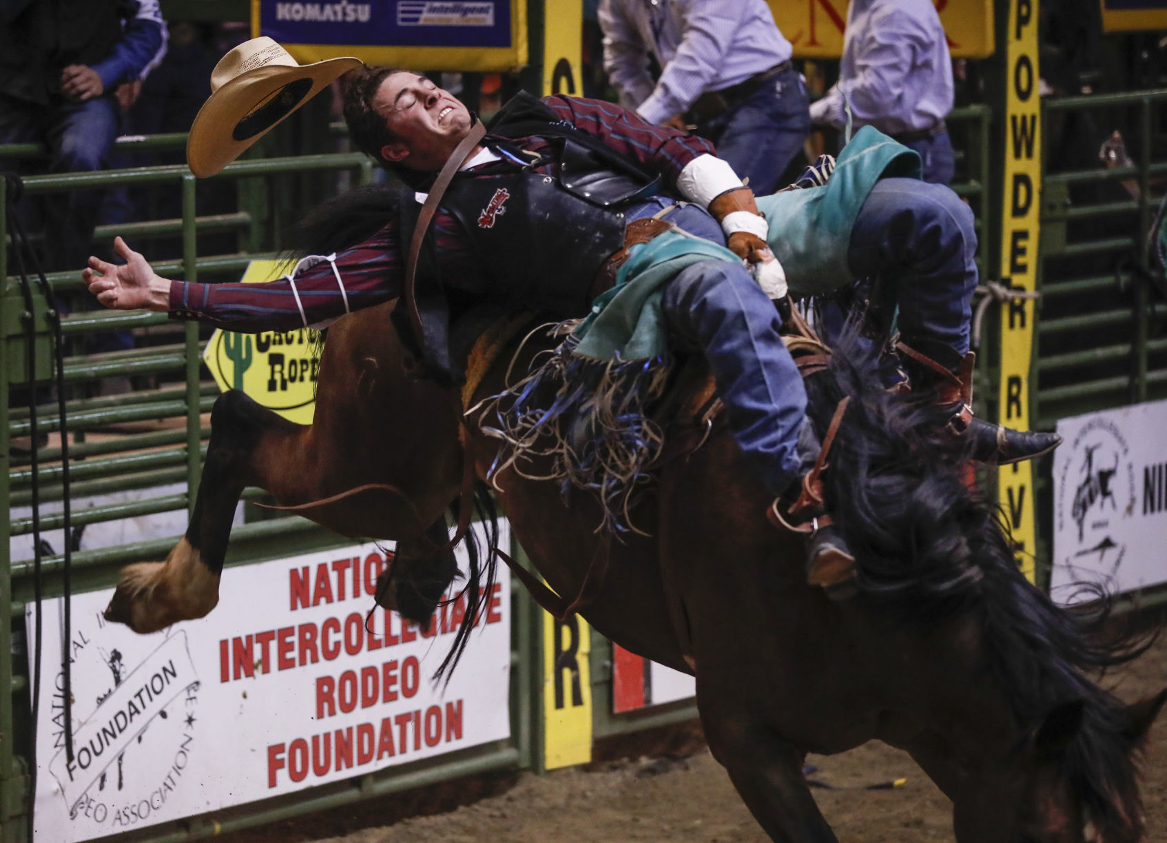CNFR - Tuesday